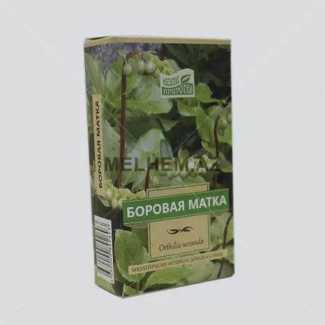 BOROVAYA MATKA